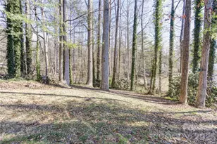 216 Castleton Ln, Hendersonville, NC 28791 - Photo 20