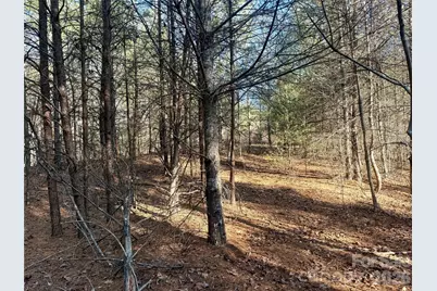 2095 Hitching Post Trail #G45, Lenoir, NC 28645 - Photo 10