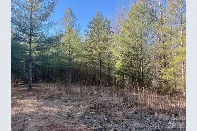 2095 Hitching Post Trail #G45, Lenoir, NC 28645 - Photo 6