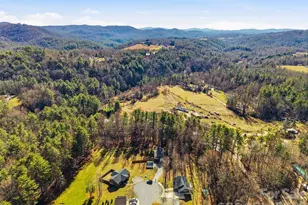 224 Walt Dr, Hendersonville, NC 28792 - Photo 32