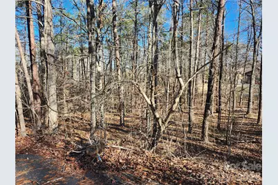 0000 Forest Ridge Road #22, Tryon, NC 28782 - Photo 4