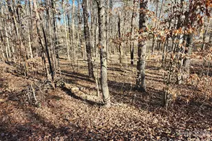 0000 Forest Ridge Rd, Tryon, NC 28782 - Photo 1