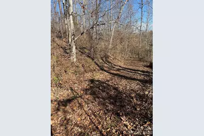 000 E Rambling Creek Road #11, Tryon, NC 28782 - Photo 1