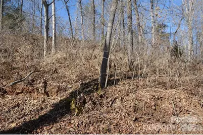 000 E Rambling Creek Road #11, Tryon, NC 28782 - Photo 6