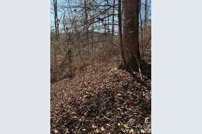 000 E Rambling Creek Road #11, Tryon, NC 28782 - Photo 4