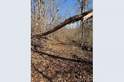 000 E Rambling Creek Road #11, Tryon, NC 28782 - Photo 2