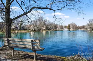 14115 Canvasback Dr, Charlotte, NC 28273 - Photo 42