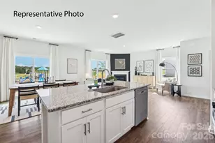 1035 Two Brothers Ln, York, SC 29745 - Photo 8