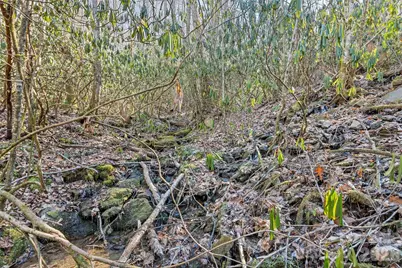 831 Forest Run Road, Whittier, NC 28789 - Photo 32