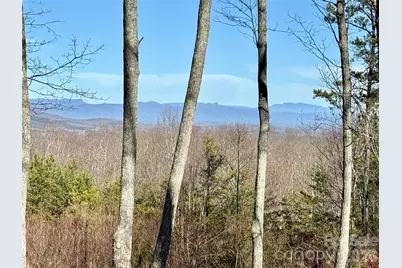 149 Mossy Oak Trail #166/167, Nebo, NC 28761 - Photo 12