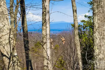 149 Mossy Oak Trail #166/167, Nebo, NC 28761 - Photo 8