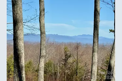 149 Mossy Oak Trail #166/167, Nebo, NC 28761 - Photo 22