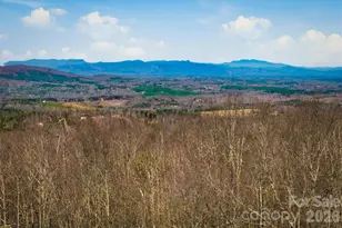 149 Mossy Oak Trail, Nebo, NC 28761 - Photo 1