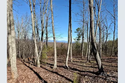 149 Mossy Oak Trail #166/167, Nebo, NC 28761 - Photo 10