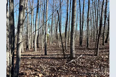 149 Mossy Oak Trail #166/167, Nebo, NC 28761 - Photo 16