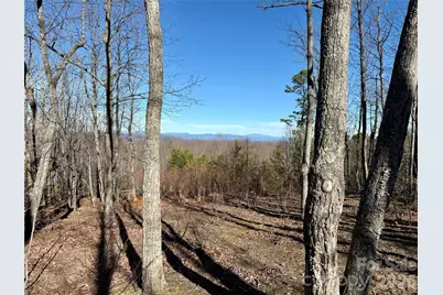 149 Mossy Oak Trail #166/167, Nebo, NC 28761 - Photo 18