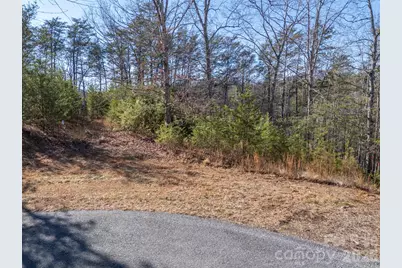 000 Indian Summer Lane #4, Mill Spring, NC 28756 - Photo 10
