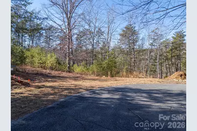 000 Indian Summer Lane #4, Mill Spring, NC 28756 - Photo 12