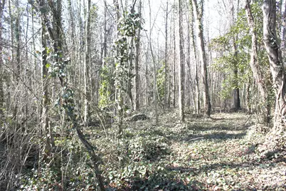 207 3rd Avenue NW, Conover, NC 28613 - Photo 42