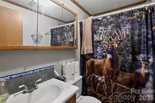 284 Paul Gosnell Rd, Marshall, NC 28753 - Photo 16