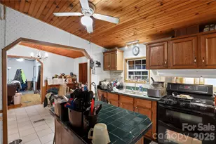 284 Paul Gosnell Rd, Marshall, NC 28753 - Photo 10