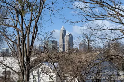 1113 Pamlico Street, Charlotte, NC 28205 - Photo 30