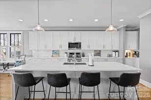 1113 Pamlico St, Charlotte, NC 28205 - Photo 20