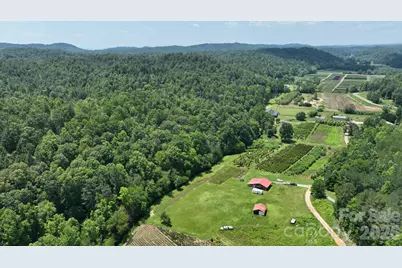 2941 Roby Martin Road, Lenoir, NC 28645 - Photo 26