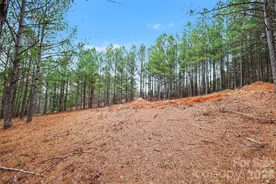 140 Riverview Drive, Mooresboro, NC 28114 - Photo 14