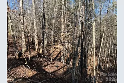 0 Hope Drive, Rutherfordton, NC 28139 - Photo 8