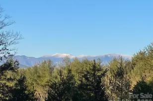 1267 Ten Whigs Ridge, Nebo, NC 28761 - Photo 44