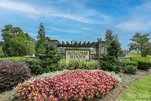 10440 Paper Birch Dr, Charlotte, NC 28215 - Photo 42