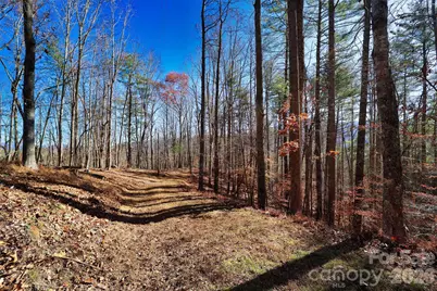 Tbd Rocking Horse Trail, Burnsville, NC 28714 - Photo 4