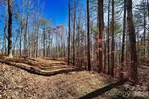 Tbd Rocking Horse Trail, Burnsville, NC 28714 - Photo 4