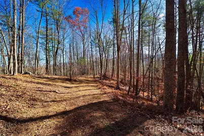 Tbd Rocking Horse Trail, Burnsville, NC 28714 - Photo 8