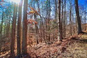 Tbd Rocking Horse Trail, Burnsville, NC 28714 - Photo 6