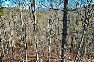 Tbd Rocking Horse Trail, Burnsville, NC 28714 - Photo 12