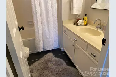 18711 Vineyard Point Lane, Cornelius, NC 28031 - Photo 16