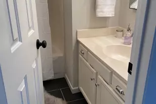 18711 Vineyard Point Ln, Cornelius, NC 28031 - Photo 14