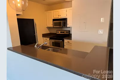 18711 Vineyard Point Lane, Cornelius, NC 28031 - Photo 10