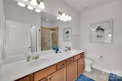 20310 Dovekie Lane, Indian Land, SC 29707 - Photo 20