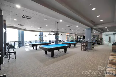 20310 Dovekie Lane, Indian Land, SC 29707 - Photo 36