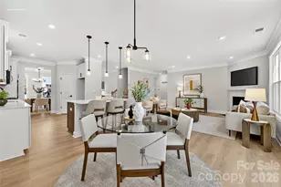 7132 Butternut Oak Ter, Huntersville, NC 28078 - Photo 10