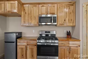 225 Aurora Ln, Tryon, NC 28782 - Photo 10