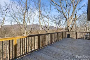 225 Aurora Ln, Tryon, NC 28782 - Photo 28