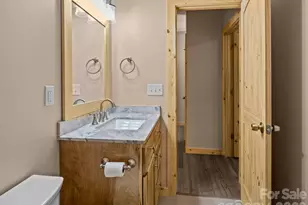 225 Aurora Ln, Tryon, NC 28782 - Photo 24