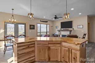 225 Aurora Ln, Tryon, NC 28782 - Photo 12