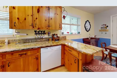 979 Greenville Highway, Brevard, NC 28712 - Photo 16