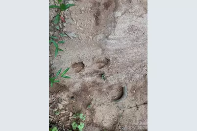 134 W McBrayer Lane, Mooresboro, NC 28114 - Photo 8