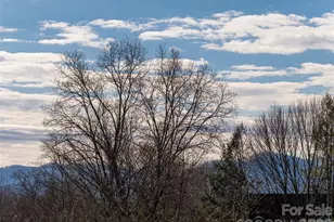 89 Vance Cres Ext, Asheville, NC 28806 - Photo 48